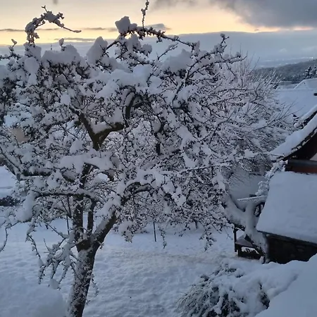 Lejlighed Fewo-taunus-panoramablick